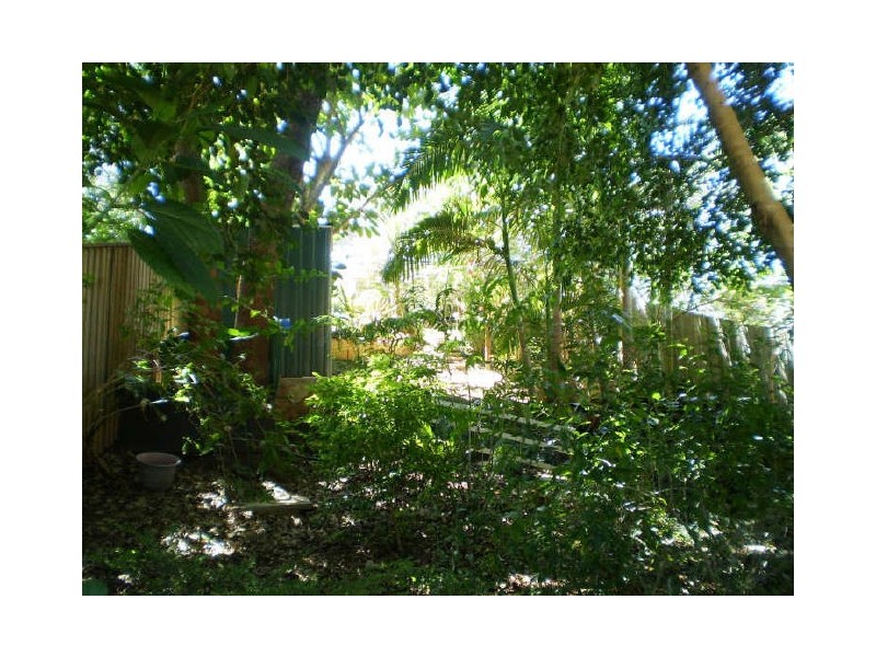 Murwillumbah NSW 2484