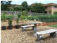 Murwillumbah NSW 2484