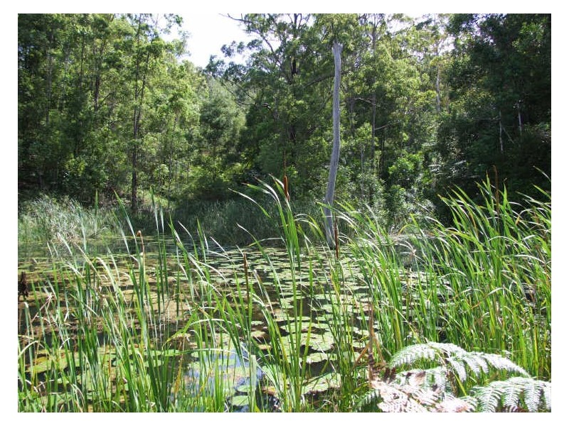 383 Zara Road, Chillingham NSW 2484