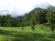 383 Zara Road, Chillingham NSW 2484