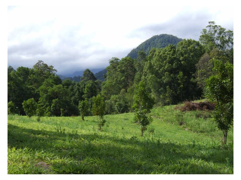 383 Zara Road, Chillingham NSW 2484