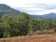 383 Zara Road, Chillingham NSW 2484