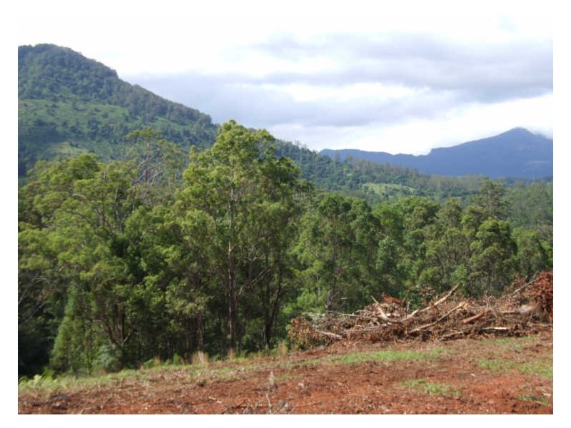 383 Zara Road, Chillingham NSW 2484