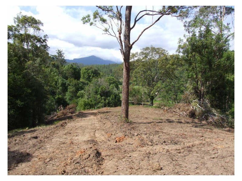383 Zara Road, Chillingham NSW 2484