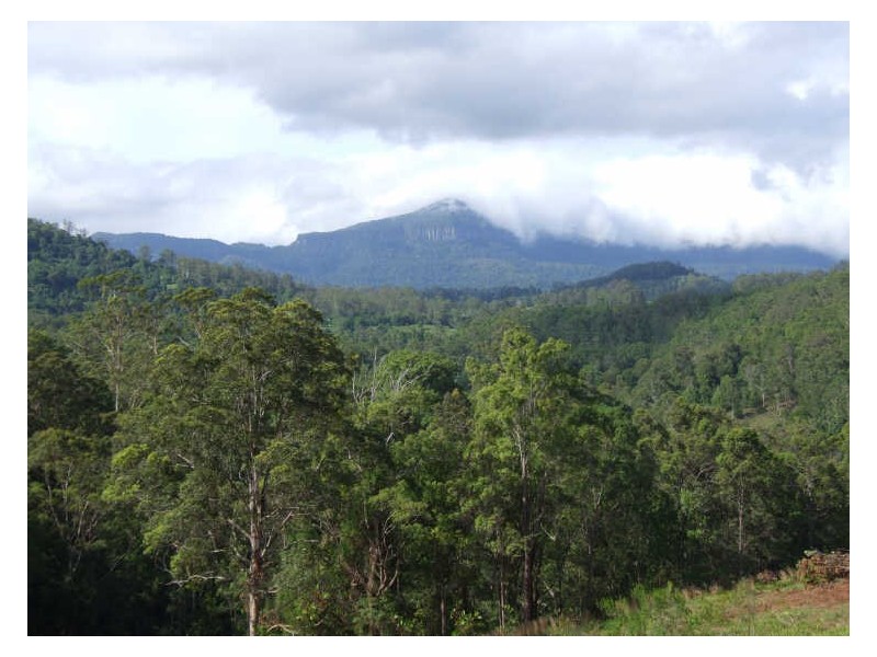 383 Zara Road, Chillingham NSW 2484