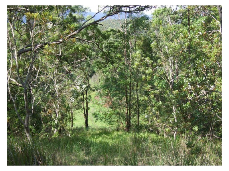 383 Zara Road, Chillingham NSW 2484