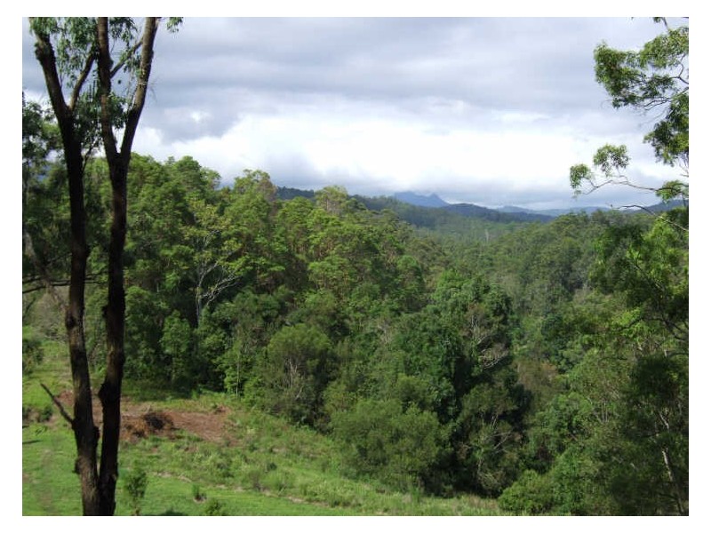 383 Zara Road, Chillingham NSW 2484
