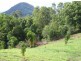 383 Zara Road, Chillingham NSW 2484