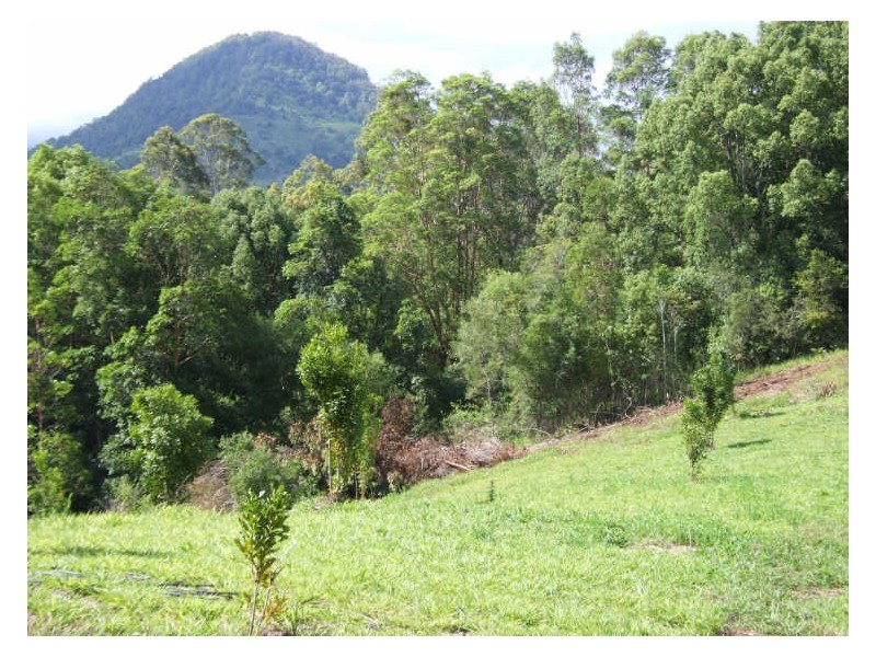 383 Zara Road, Chillingham NSW 2484