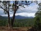 383 Zara Road, Chillingham NSW 2484