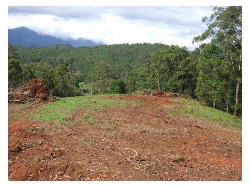383 Zara Road, Chillingham NSW 2484