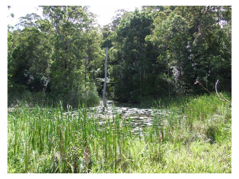383 Zara Road, Chillingham NSW 2484