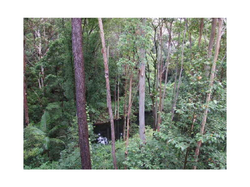 Murwillumbah NSW 2484