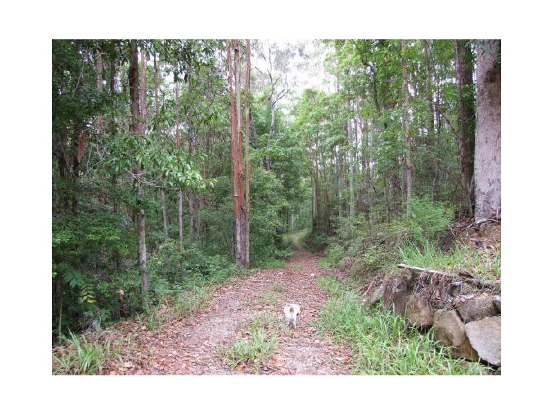 Murwillumbah NSW 2484