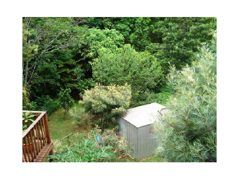 Murwillumbah NSW 2484