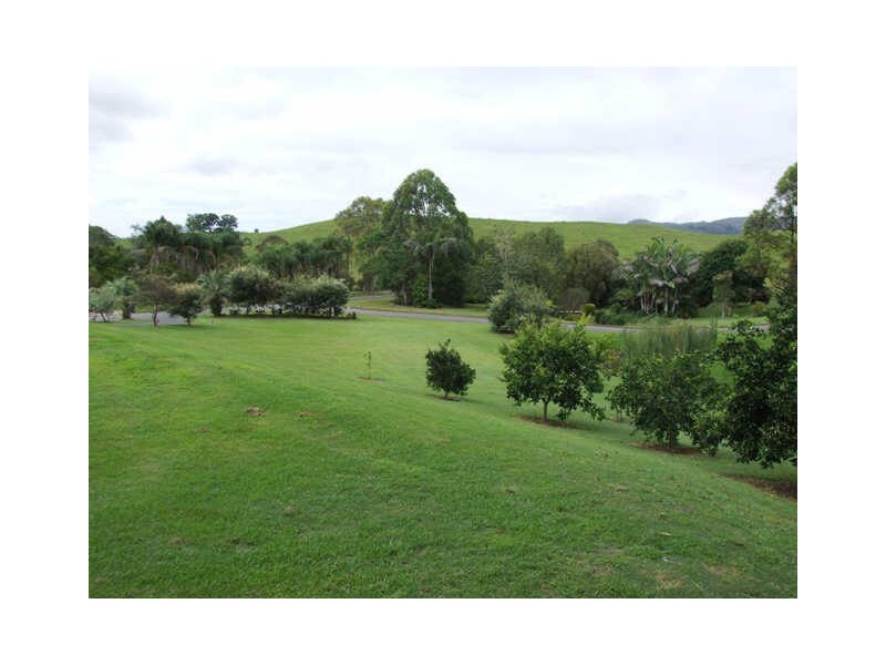 Murwillumbah NSW 2484