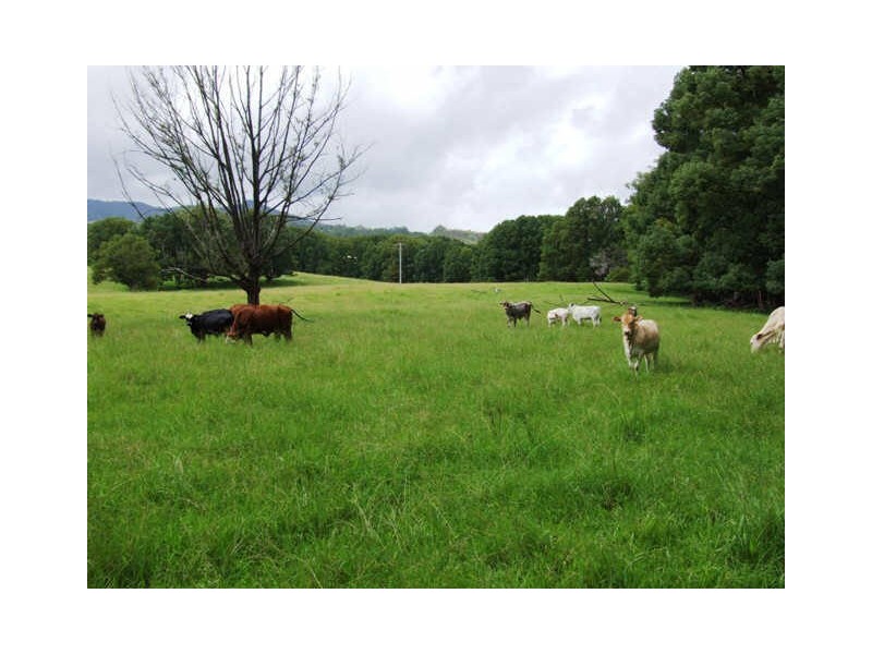 Murwillumbah NSW 2484