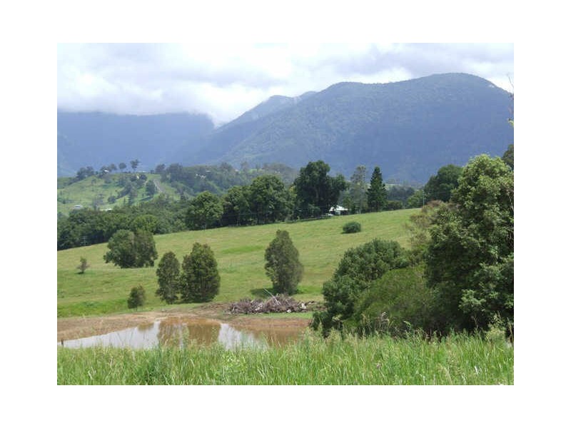 Murwillumbah NSW 2484