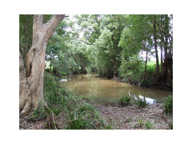 Murwillumbah NSW 2484