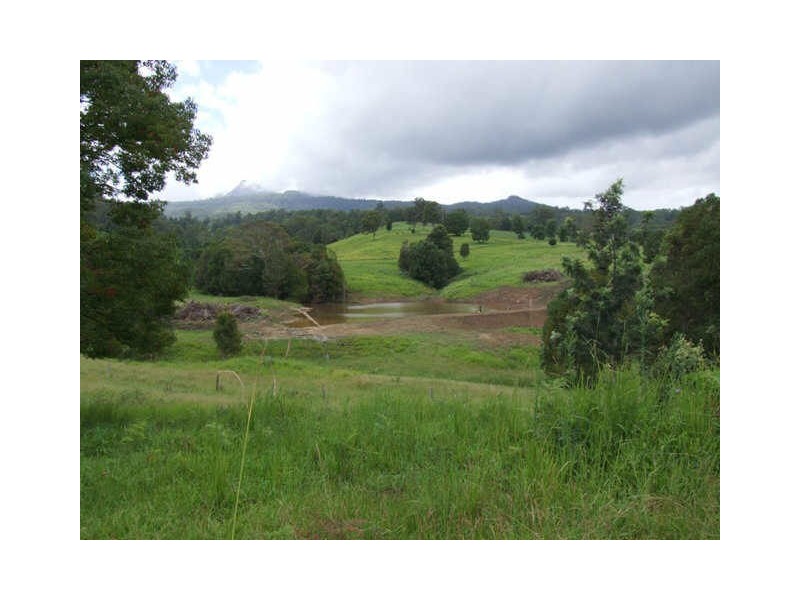 Murwillumbah NSW 2484