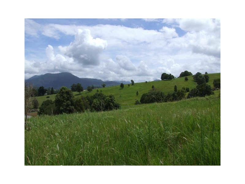 Murwillumbah NSW 2484