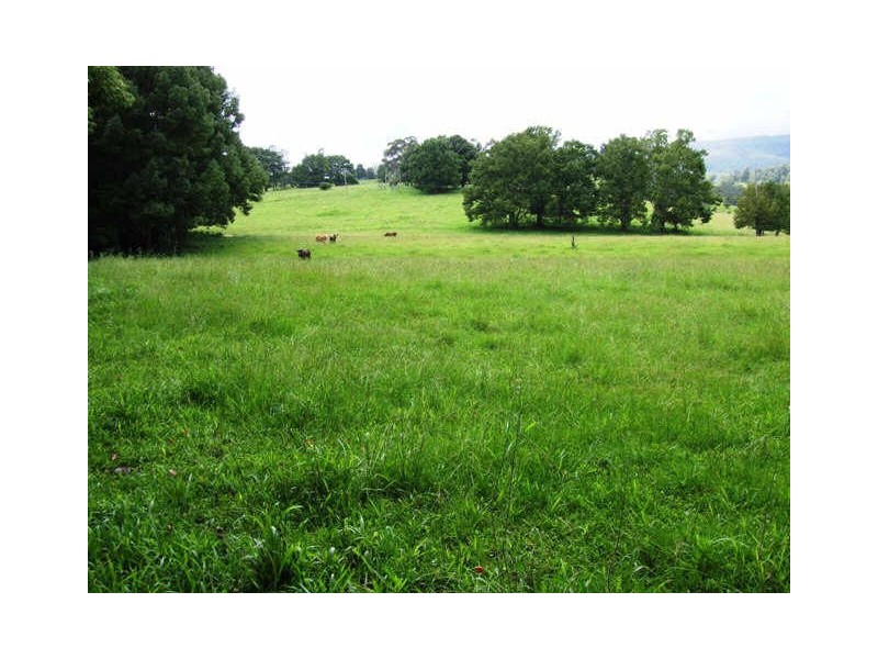 Murwillumbah NSW 2484