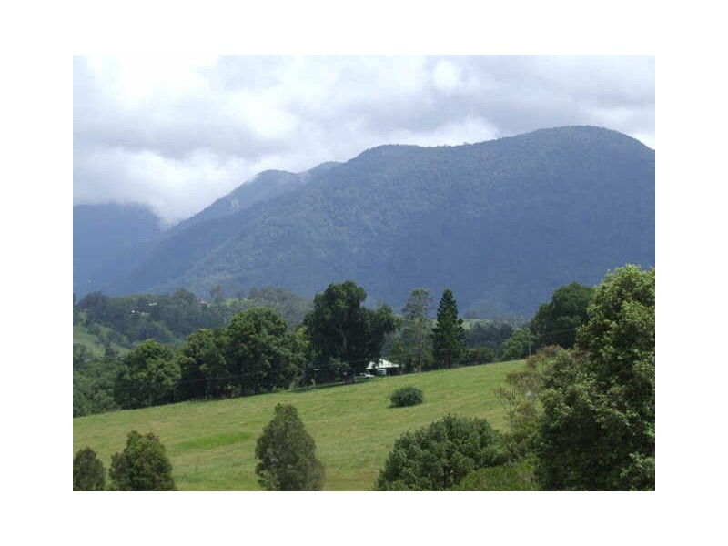 Murwillumbah NSW 2484