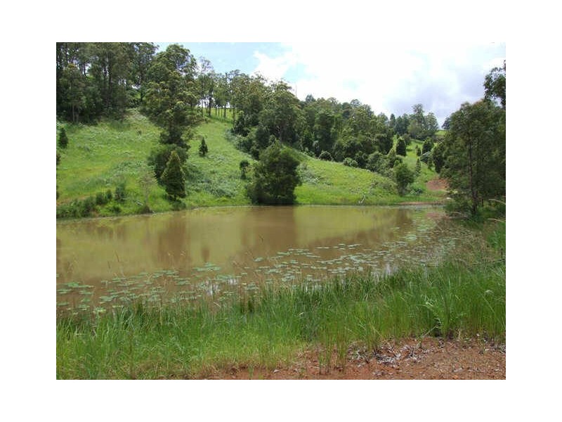 Murwillumbah NSW 2484