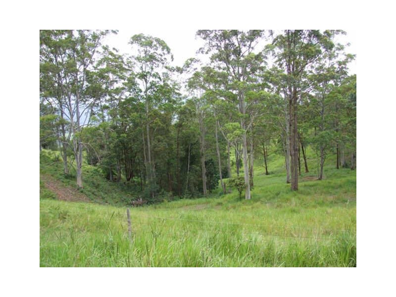 Murwillumbah NSW 2484