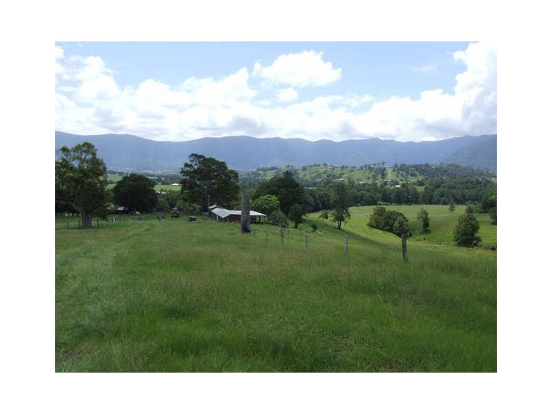 Murwillumbah NSW 2484
