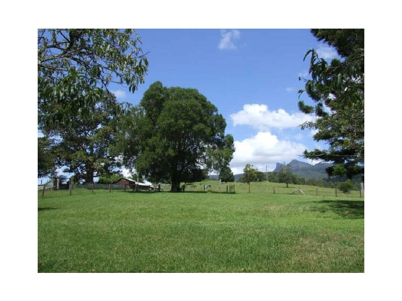 Murwillumbah NSW 2484