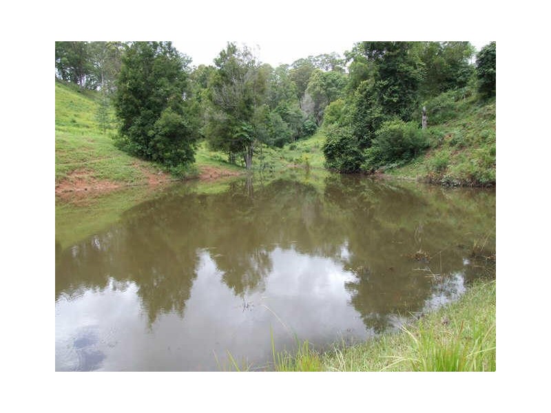 Murwillumbah NSW 2484