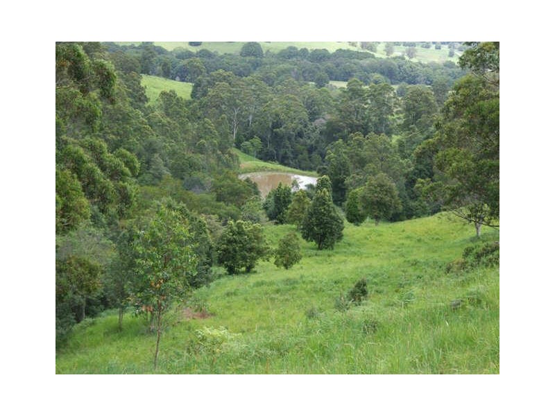 Murwillumbah NSW 2484