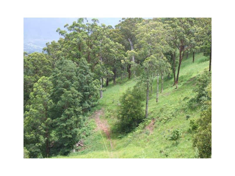 Murwillumbah NSW 2484