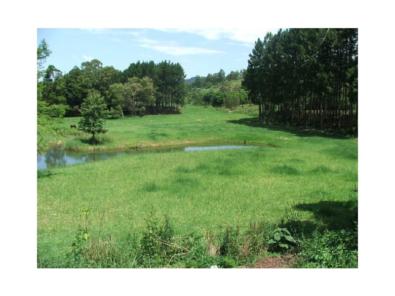 Crystal Creek NSW 2484