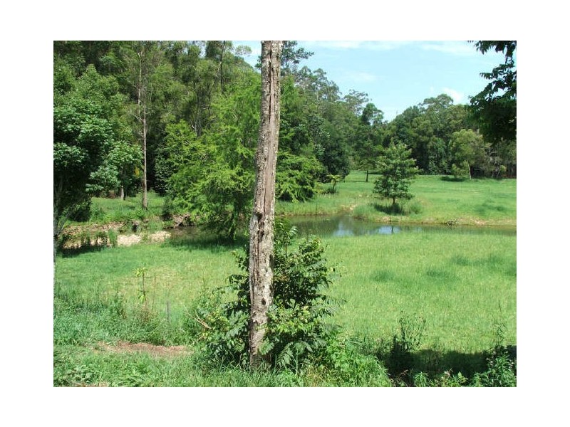 Crystal Creek NSW 2484