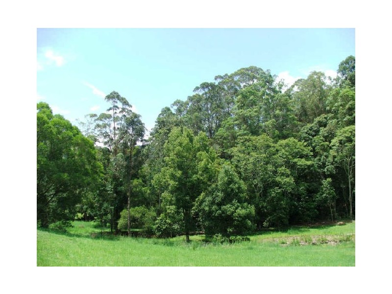 Crystal Creek NSW 2484