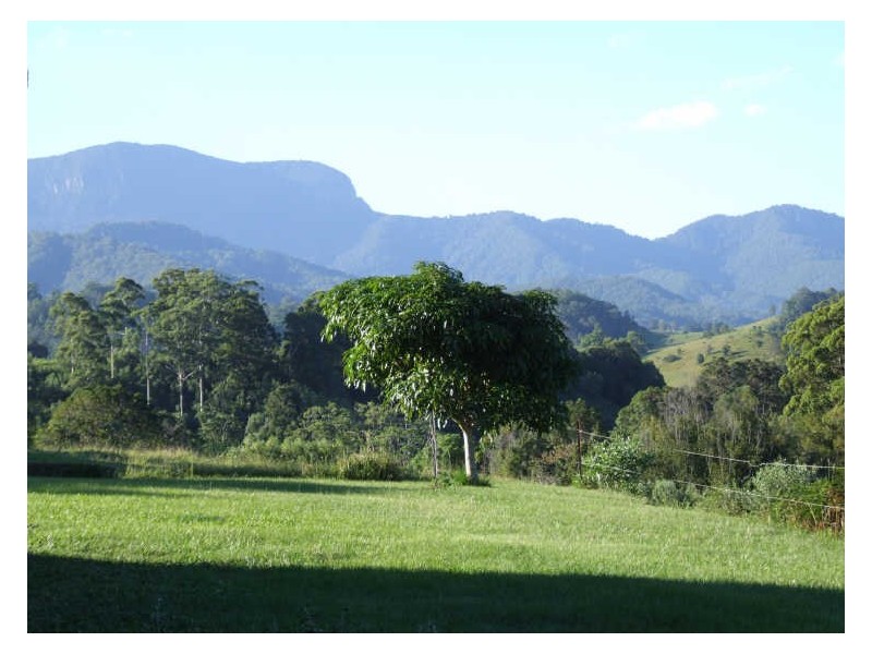 345 Chilcotts Road, Chillingham NSW 2484