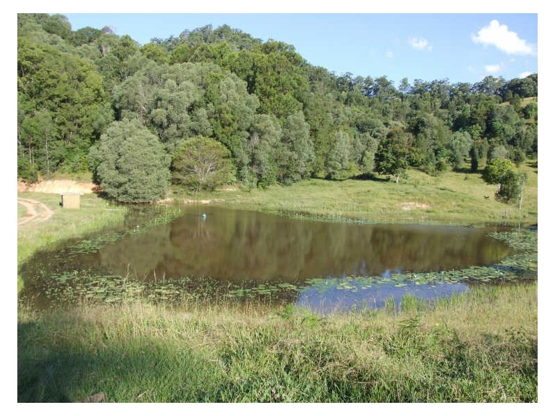 345 Chilcotts Road, Chillingham NSW 2484