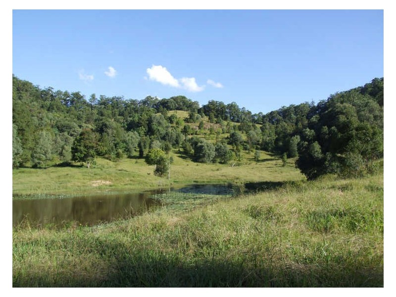 345 Chilcotts Road, Chillingham NSW 2484