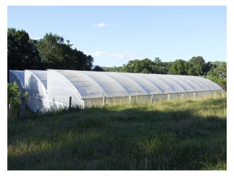 345 Chilcotts Road, Chillingham NSW 2484