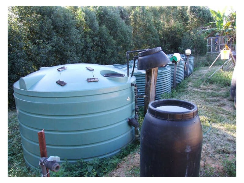 345 Chilcotts Road, Chillingham NSW 2484