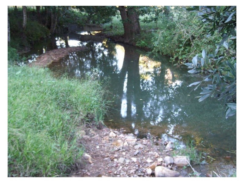 345 Chilcotts Road, Chillingham NSW 2484