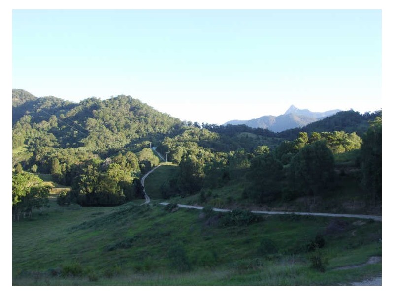 345 Chilcotts Road, Chillingham NSW 2484