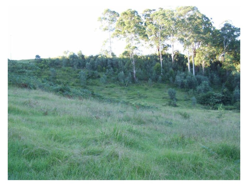 345 Chilcotts Road, Chillingham NSW 2484