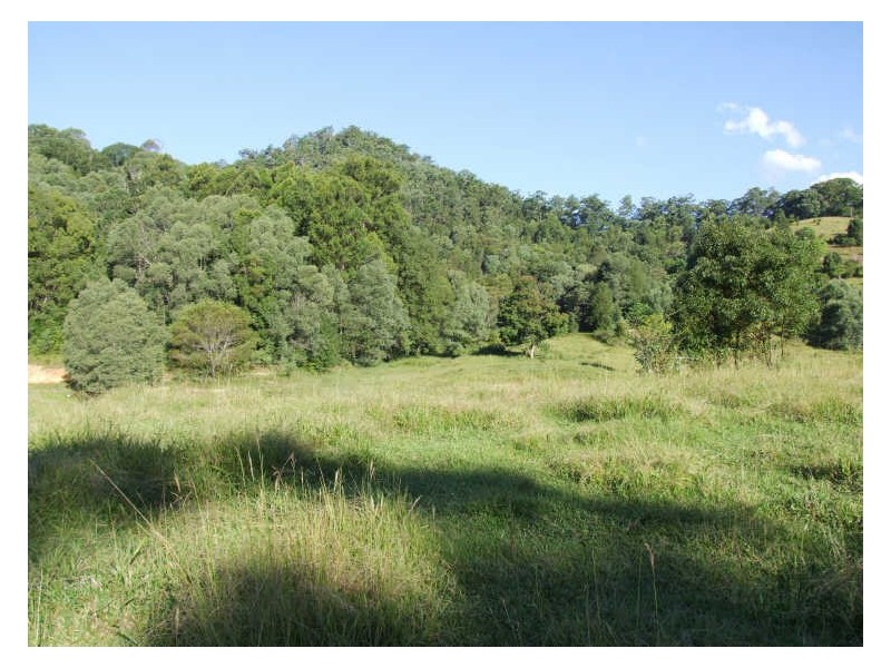 345 Chilcotts Road, Chillingham NSW 2484