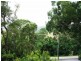 77 Riverview Street, Murwillumbah NSW 2484