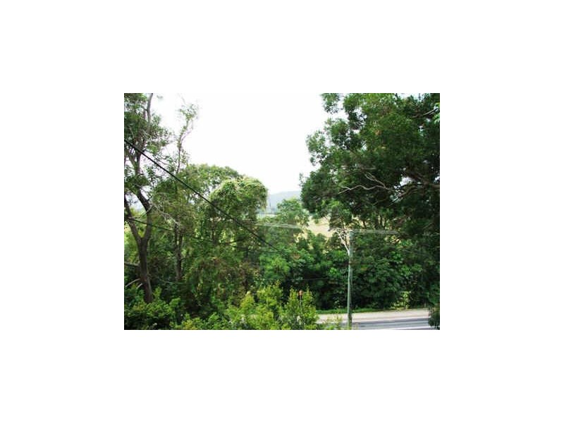 77 Riverview Street, Murwillumbah NSW 2484