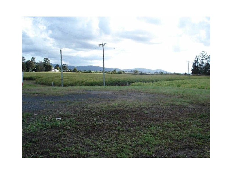 Murwillumbah NSW 2484