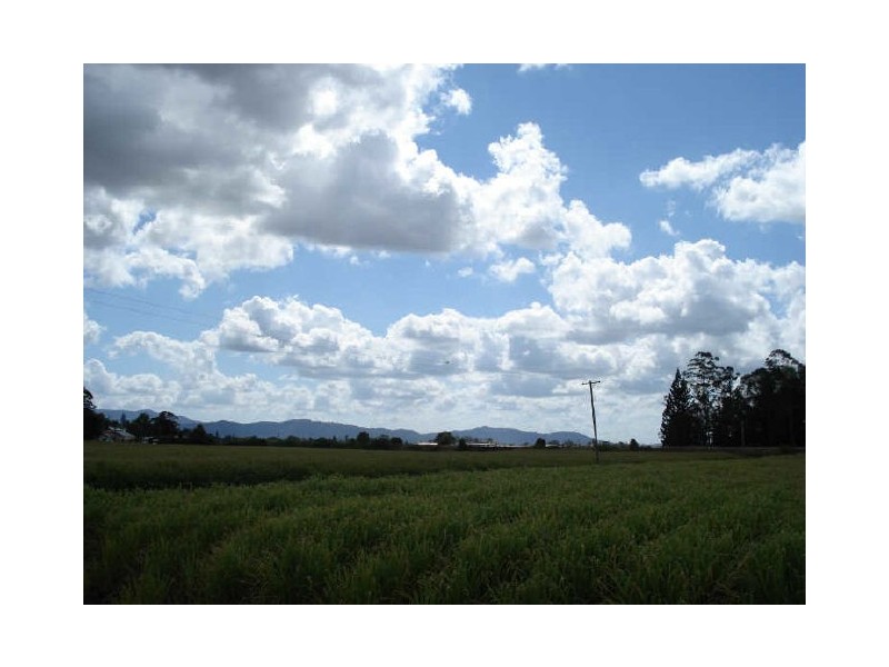 Murwillumbah NSW 2484